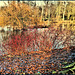 Winterfarben
