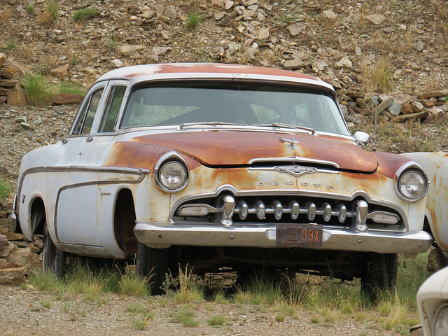 1955 DeSoto Firedome