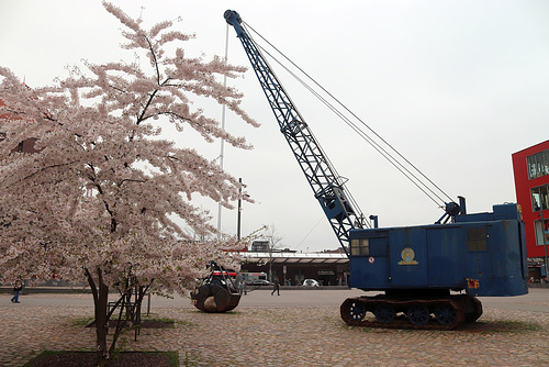 Bagger fahren...