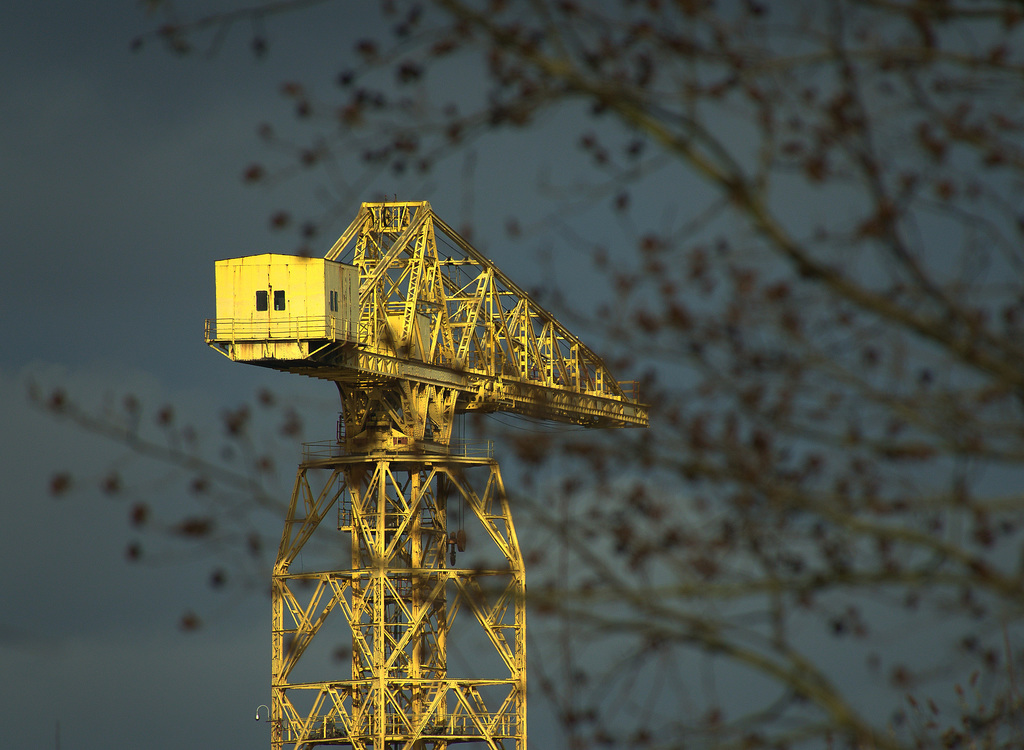 Yellow Cranes On The Tyne