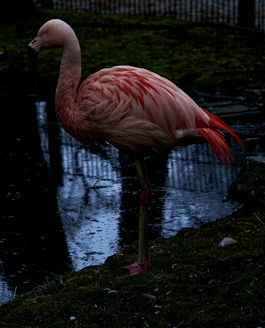 Tierpark Straubing