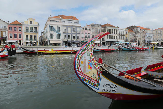 Mit dem Moliceiro durch die Kanäle von Aveiro  touren