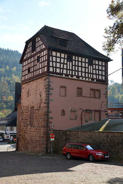 Untere Burg in Alpirsbach
