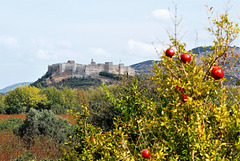 Selcuk Castle and Pomegranates