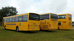 Provence Private Hire display at Showbus - 29 Sep 2019 (P1040488)