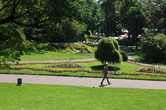 En marche ... au jardin Lecoq