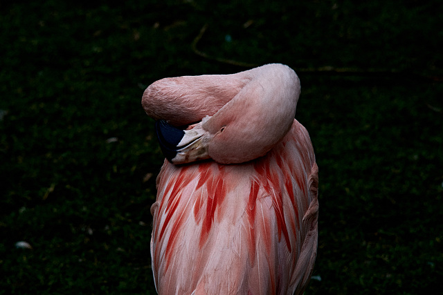Tierpark Straubing