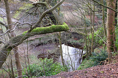 Park Hall Pool