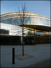 trees needed for new Blavatnik