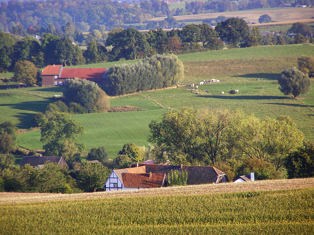 Rural area