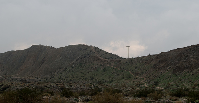 Coachella Valley Preserve (#0958)