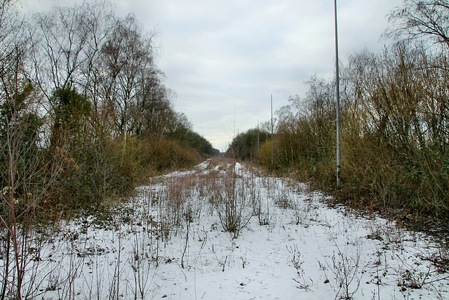 Ehem. Zechenbahn des Bergwerks Ost (Hamm-Wiescherhöfen) / 3.02.2019