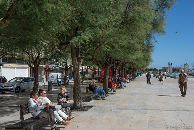 nachmittags auf dem Passeio Alegre in Póvoa de Varzim (© Buelipix)