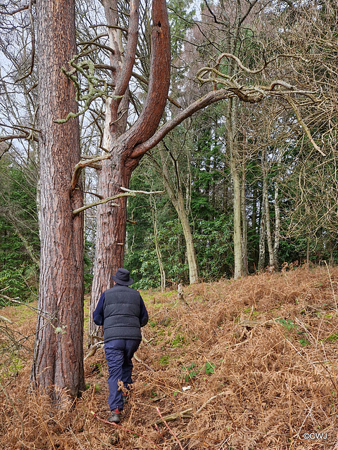 By Loch Oire