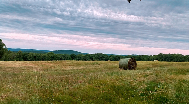 summer circle