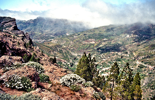 Gran Canaria