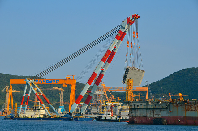 Large heavy lift crane, DSME