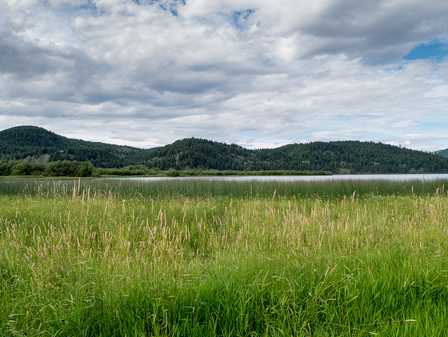 Canim lake