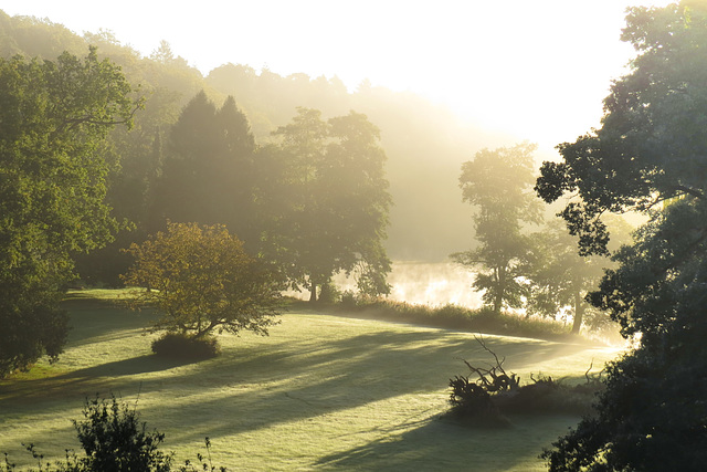 Morning fog