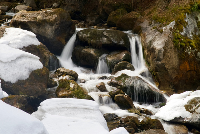 le torrent