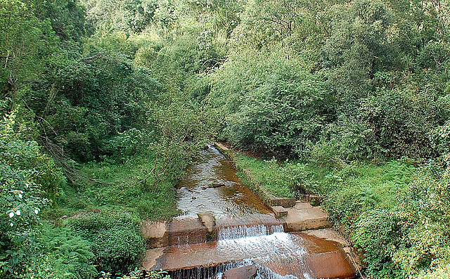 Mountain Stream