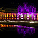 186 Illuminierter Zwingergarten Dresden