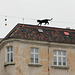 La chatte sur un toit glissant