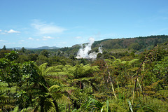 Whakarewarewa