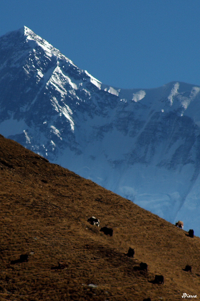 Région de Manang-Nepal