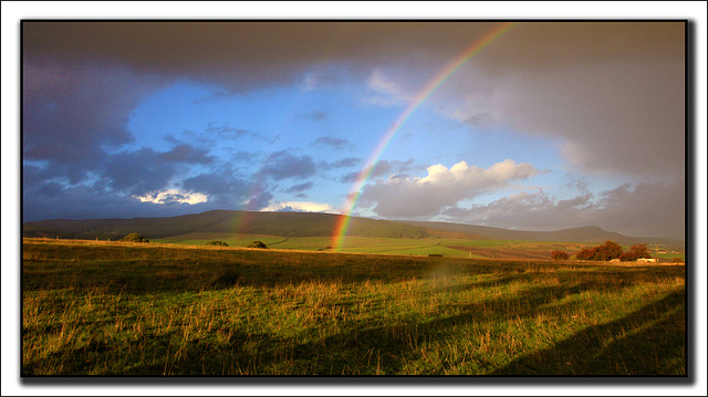 Another Rainbow