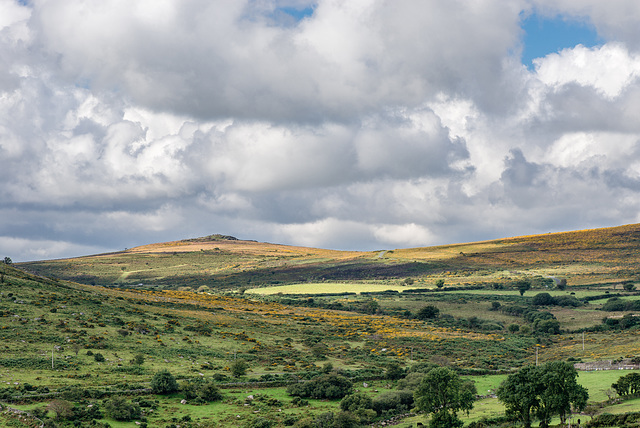 Dartmoor - 20150831