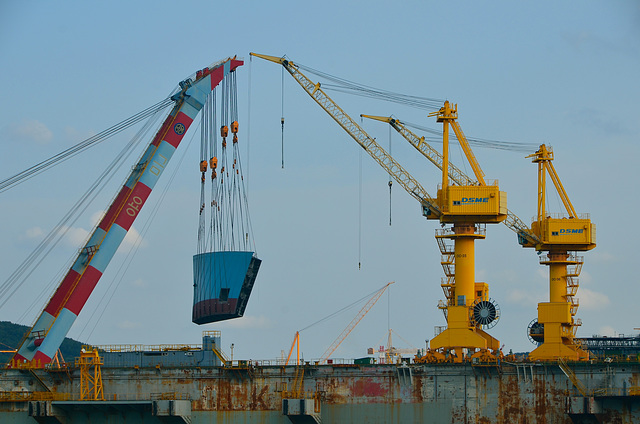 Heavy lift cranes, DSME