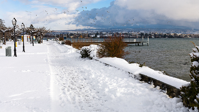 101217 Morges quai neige C