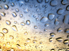 Raindrops on Car Window