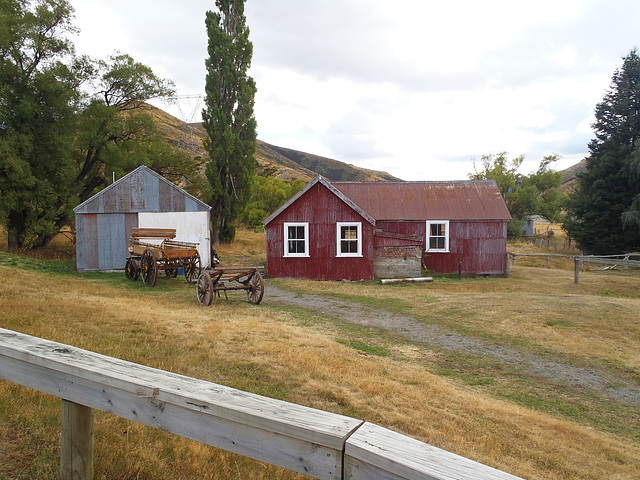 On Molesworth Station