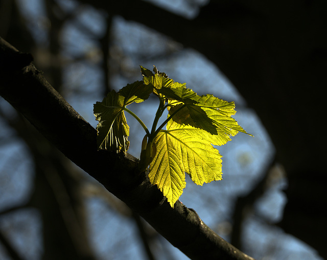 New Life. New Light New Life. New Light