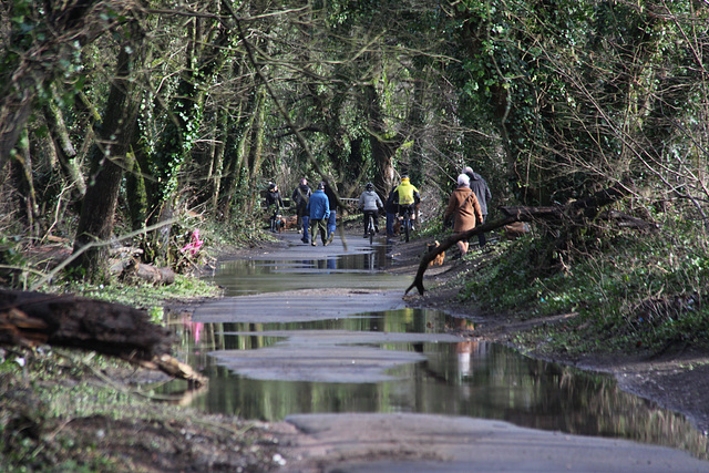 After the floods