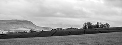 Farming in Fife