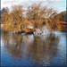 Winterfarben