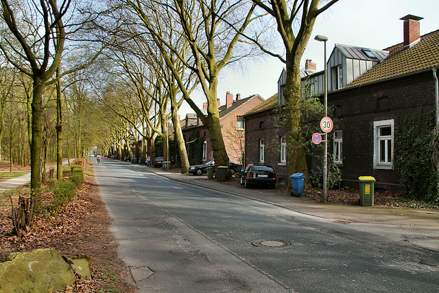 Siedlung Ripshorster Straße (Oberhausen) / 8.04.2018