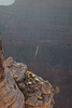 Grand Canyon, Cliffs