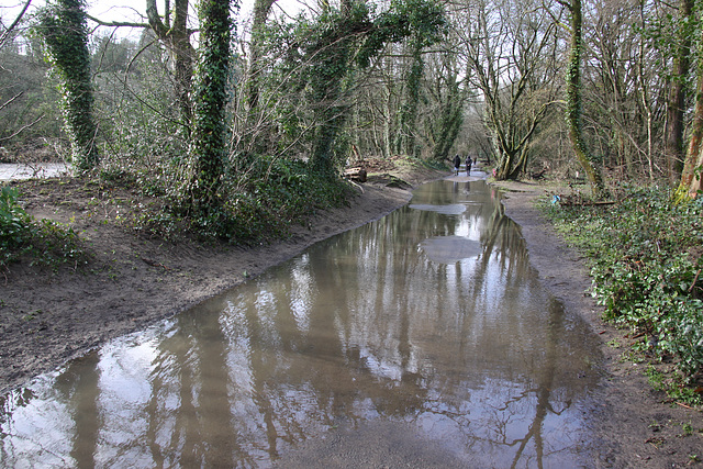 After the floods