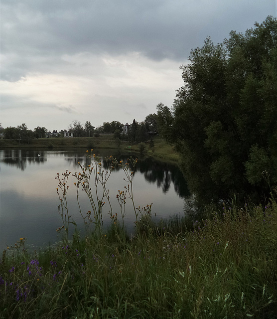 Nature cochranienne au petit matin