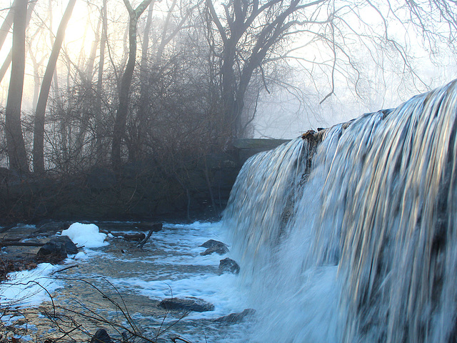 Mild January Morning