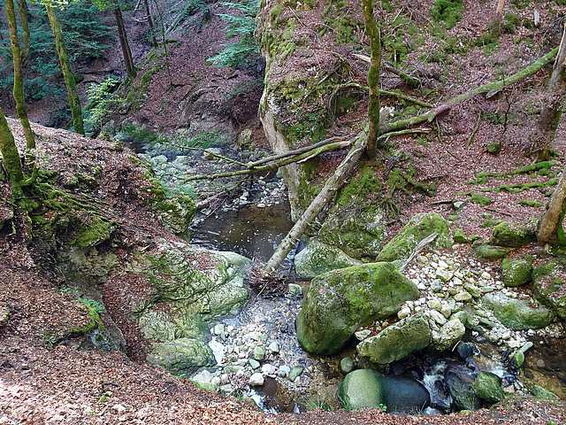 Der Fluss Arnon in der Gorges de Covatannaz