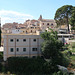 Impressive trees, Noto