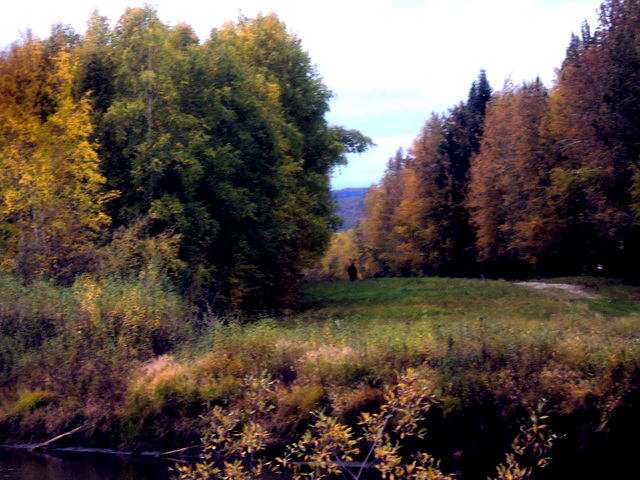 2 moose across the river