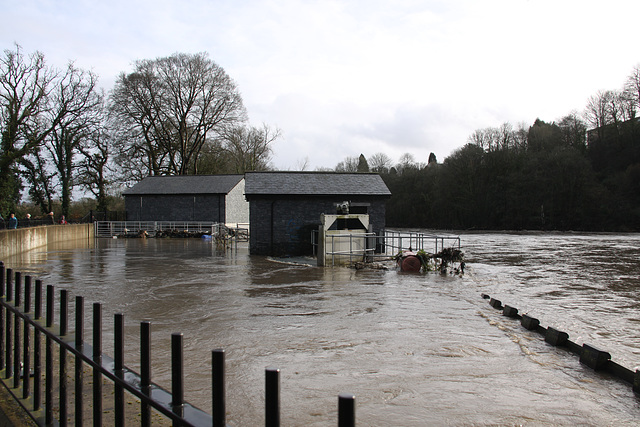 After the floods