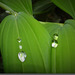 Perles de pluie ...