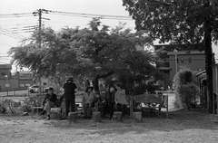 Pause in the shade